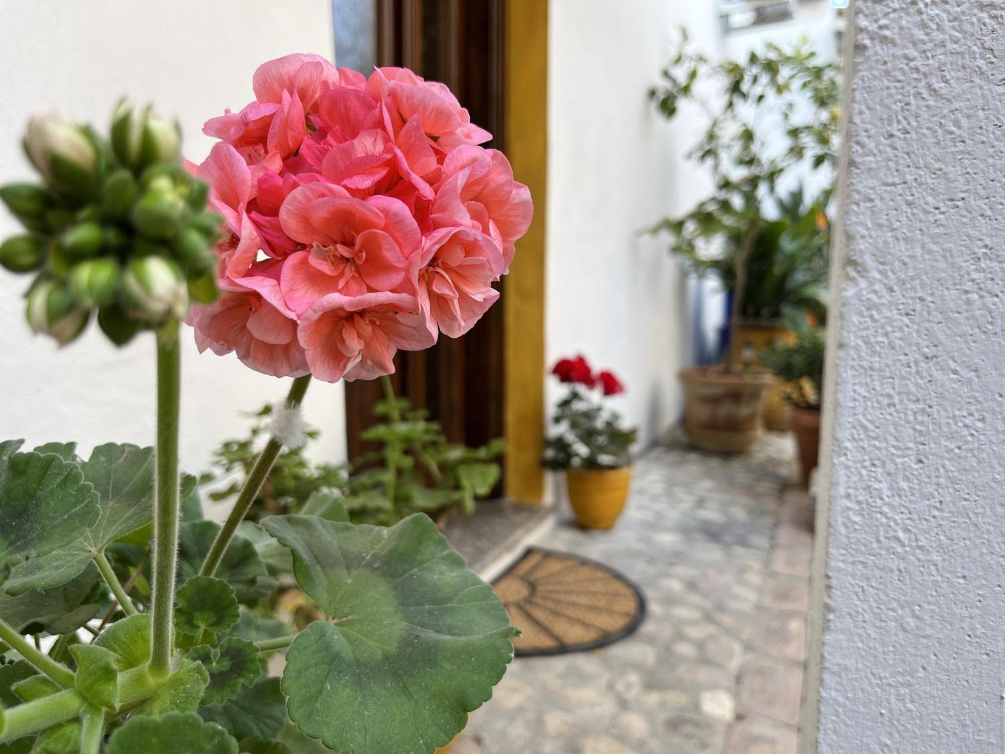 Casa Lia - Independent Apartment In The Gulf Of Orosei Galtellì エクステリア 写真