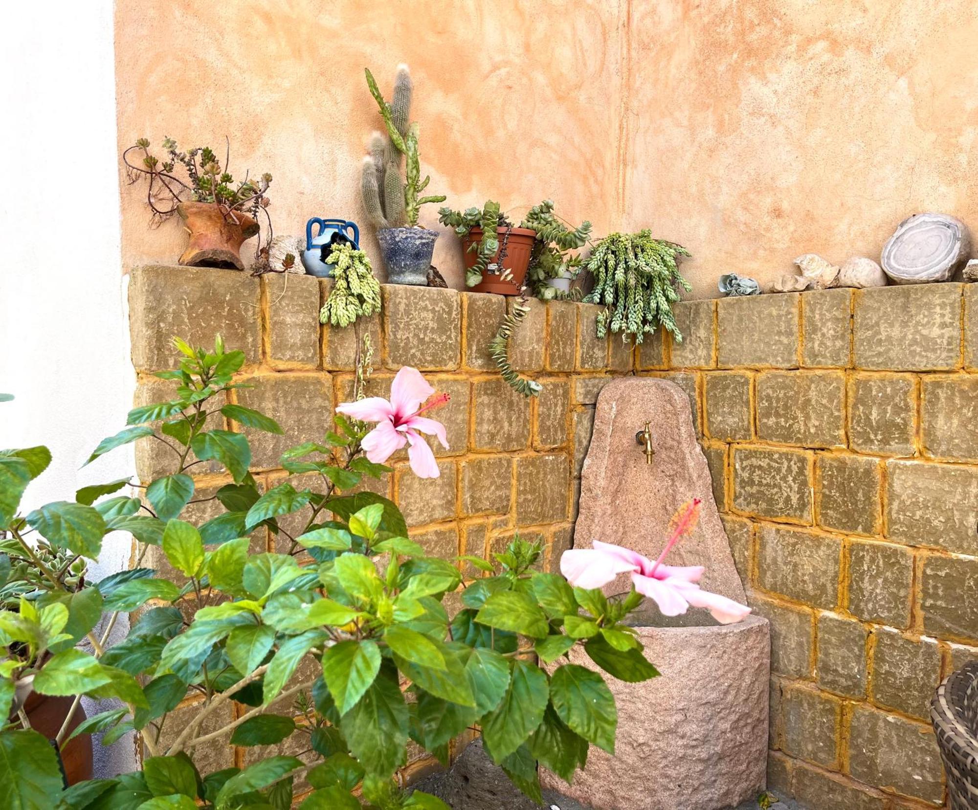 Casa Lia - Independent Apartment In The Gulf Of Orosei Galtellì エクステリア 写真