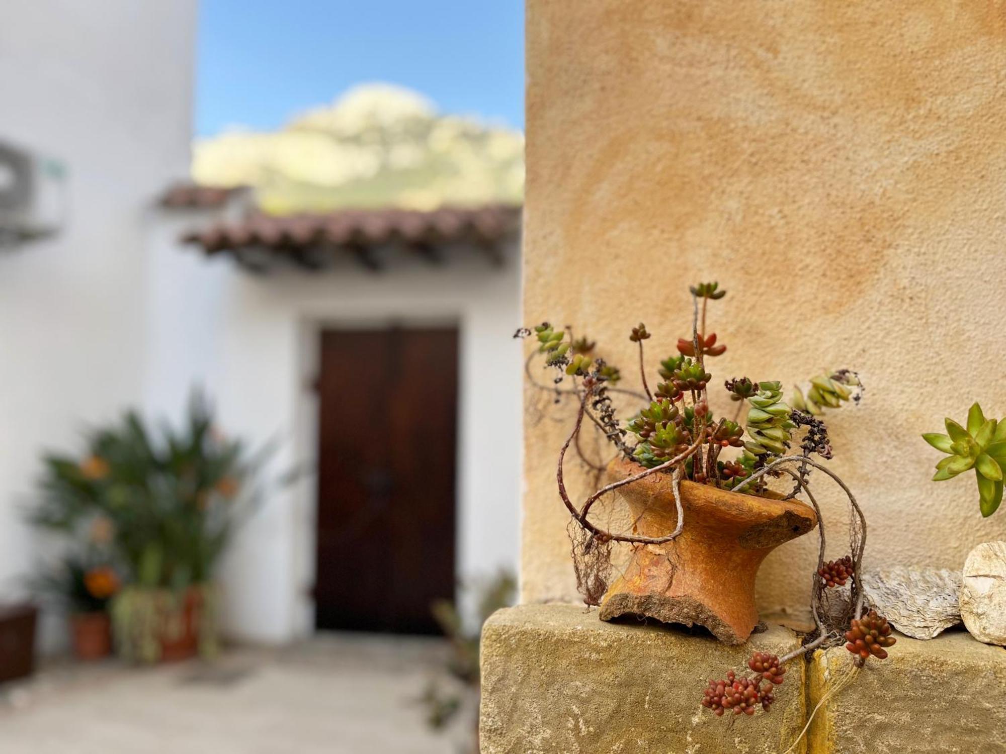 Casa Lia - Independent Apartment In The Gulf Of Orosei Galtellì エクステリア 写真