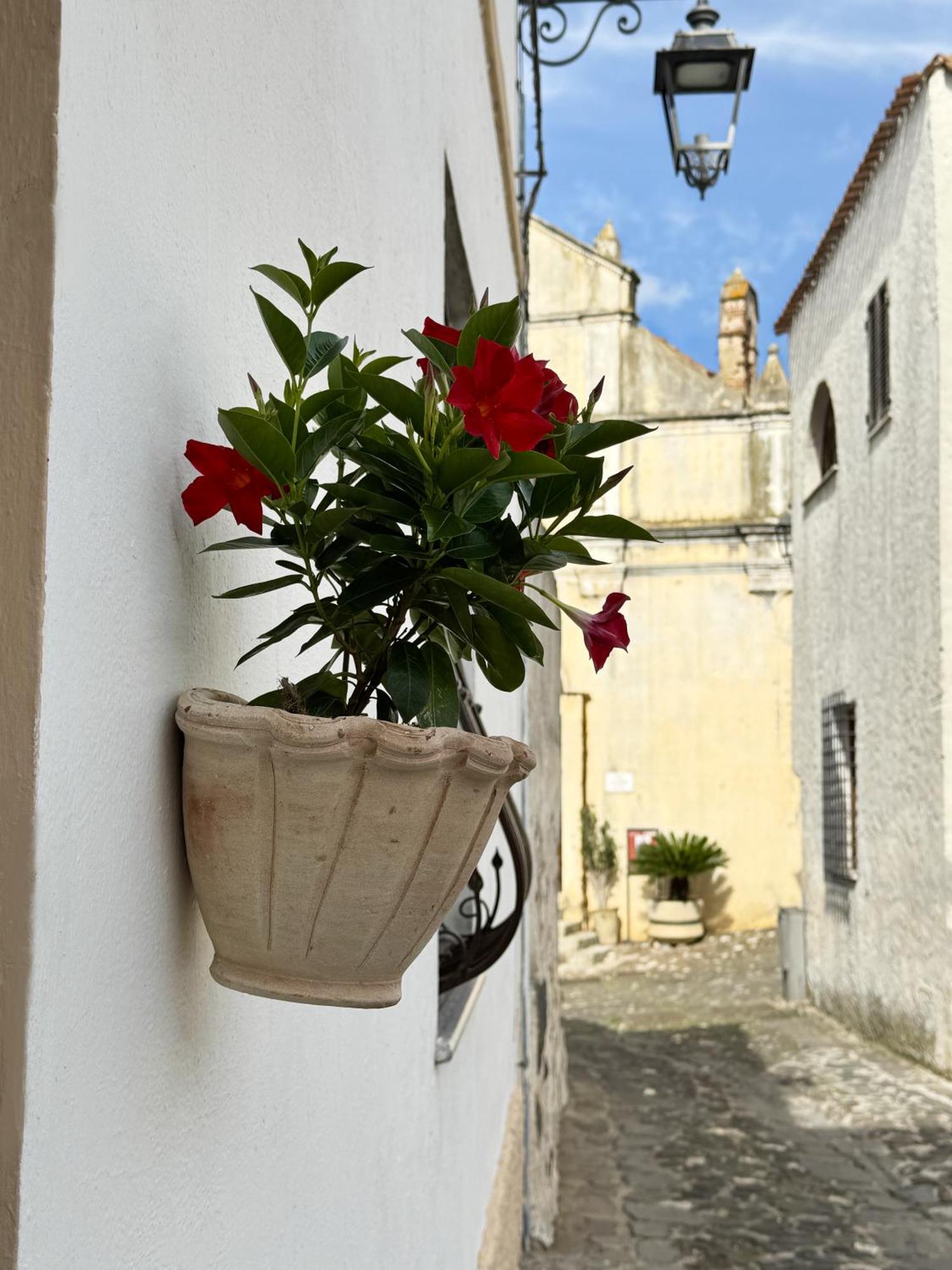 Casa Lia - Independent Apartment In The Gulf Of Orosei Galtellì エクステリア 写真
