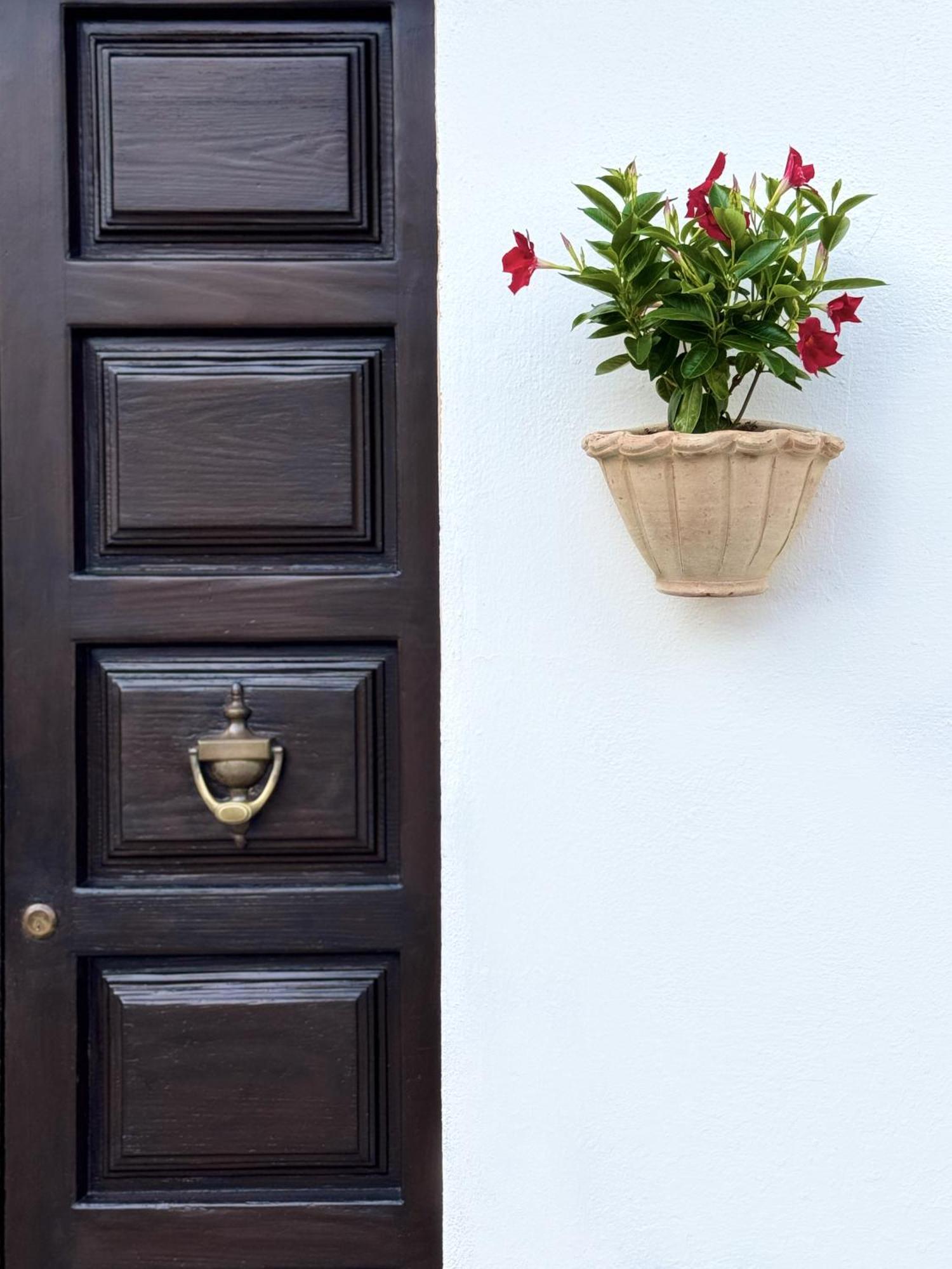 Casa Lia - Independent Apartment In The Gulf Of Orosei Galtellì エクステリア 写真