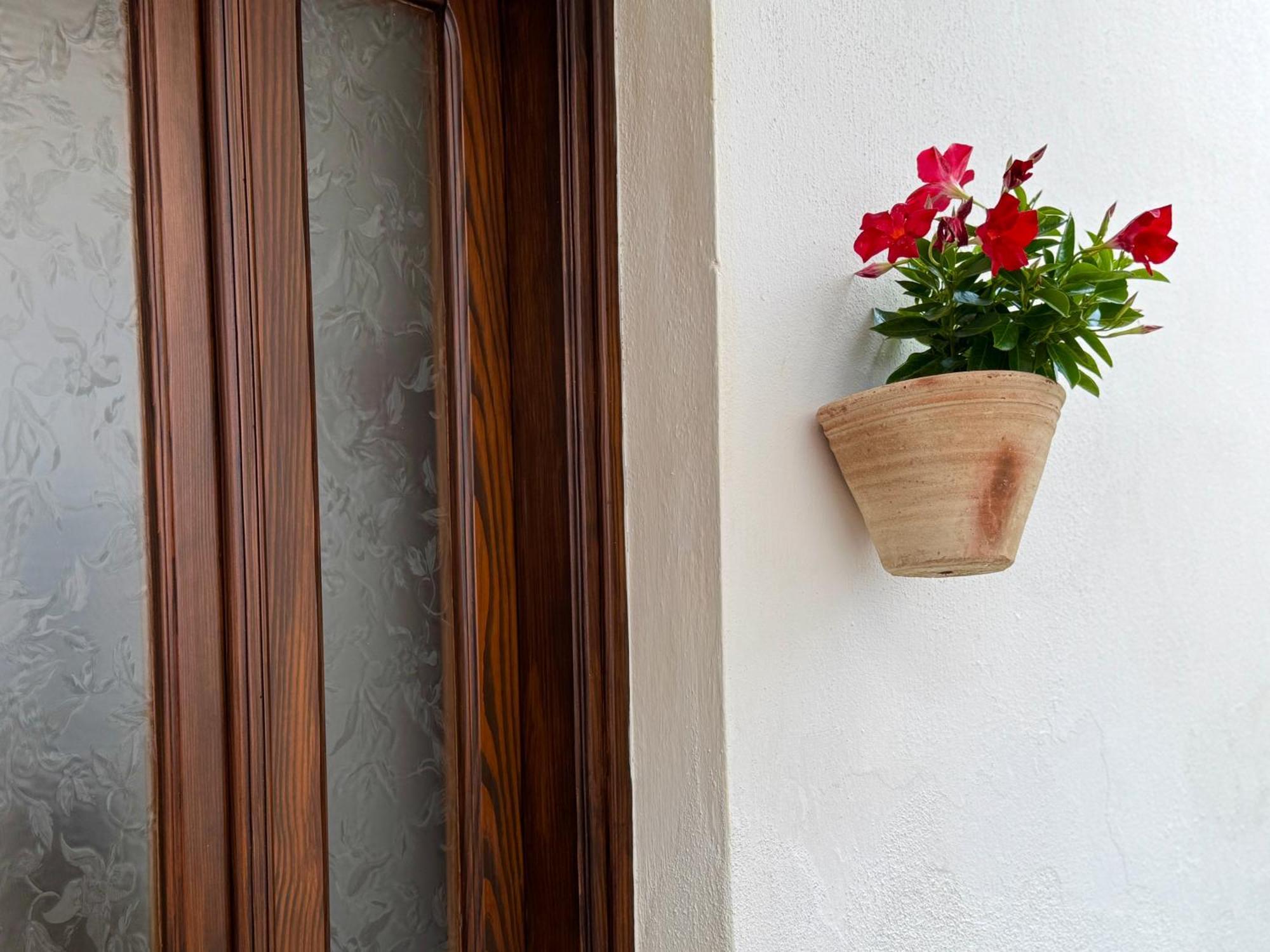 Casa Lia - Independent Apartment In The Gulf Of Orosei Galtellì エクステリア 写真
